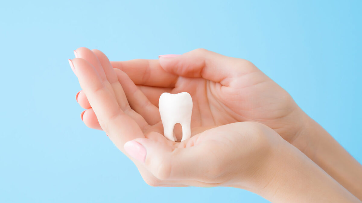 two females hands holding tooth miniature