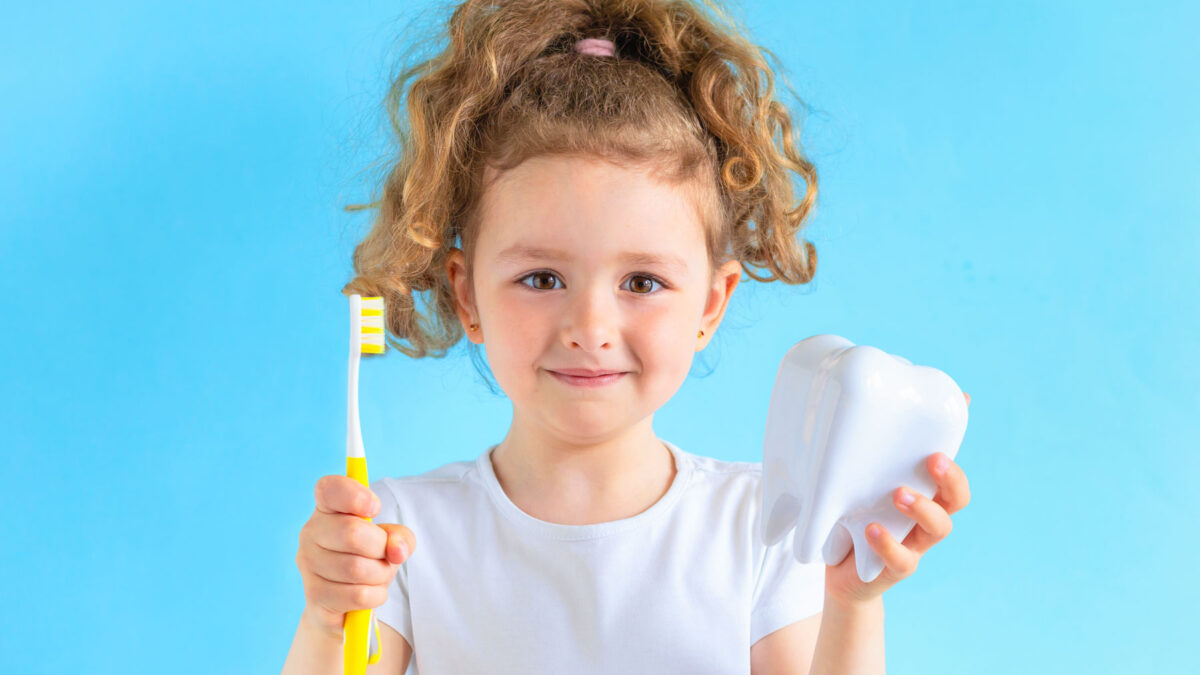 a little girl with a toothbrush and a Tooth model on her hands