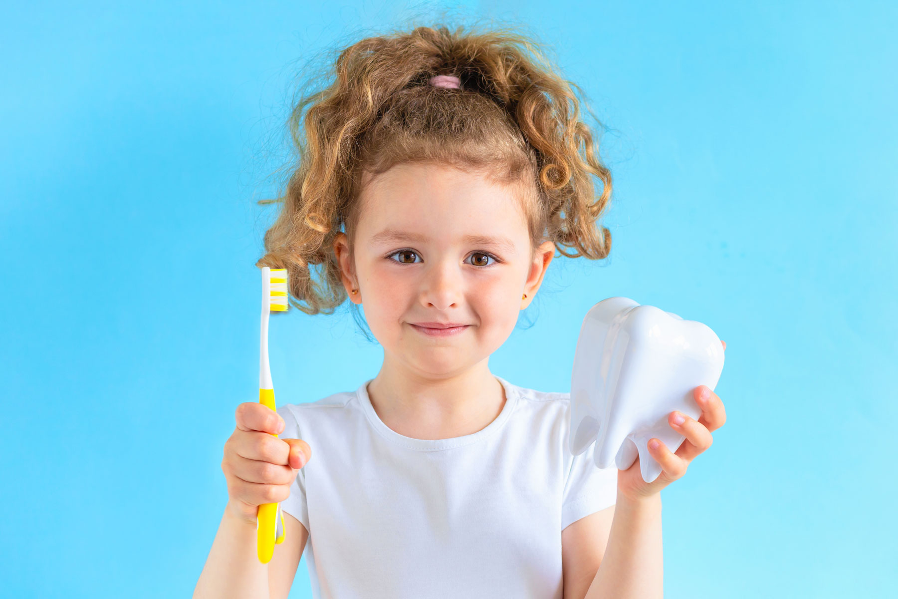 a little girl with a toothbrush and a Tooth model on her hands
