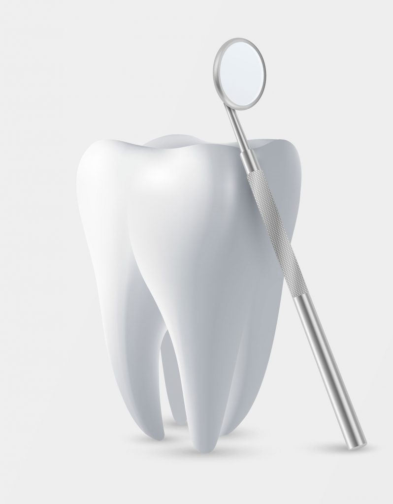 a tooth with dentistry mirror standing next to each other