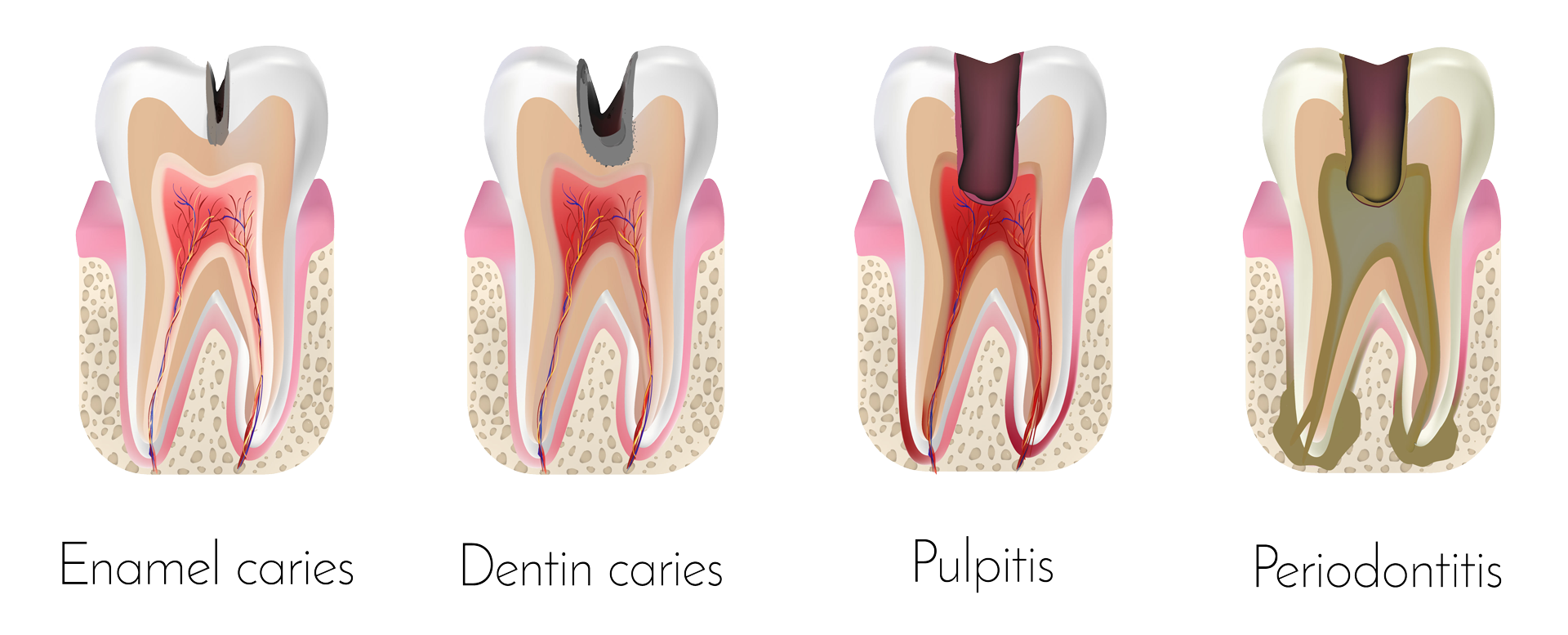 Periodontal & Oral Surgery