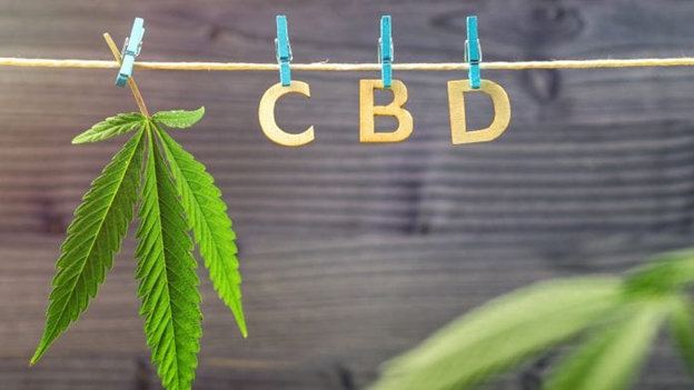 CBD hand crafted letters
