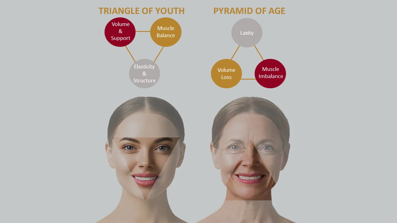 comparison between triangle of youth and pyramid of age