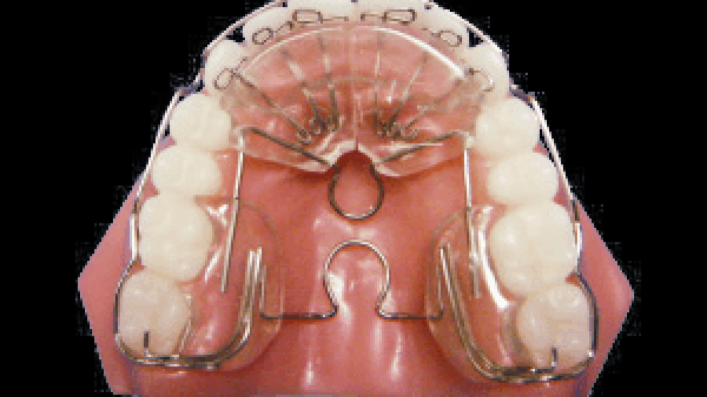 Does the DNA Appliance Really Work? What Research Shows 2 Does the DNA Appliance Really Work? What Research Shows
