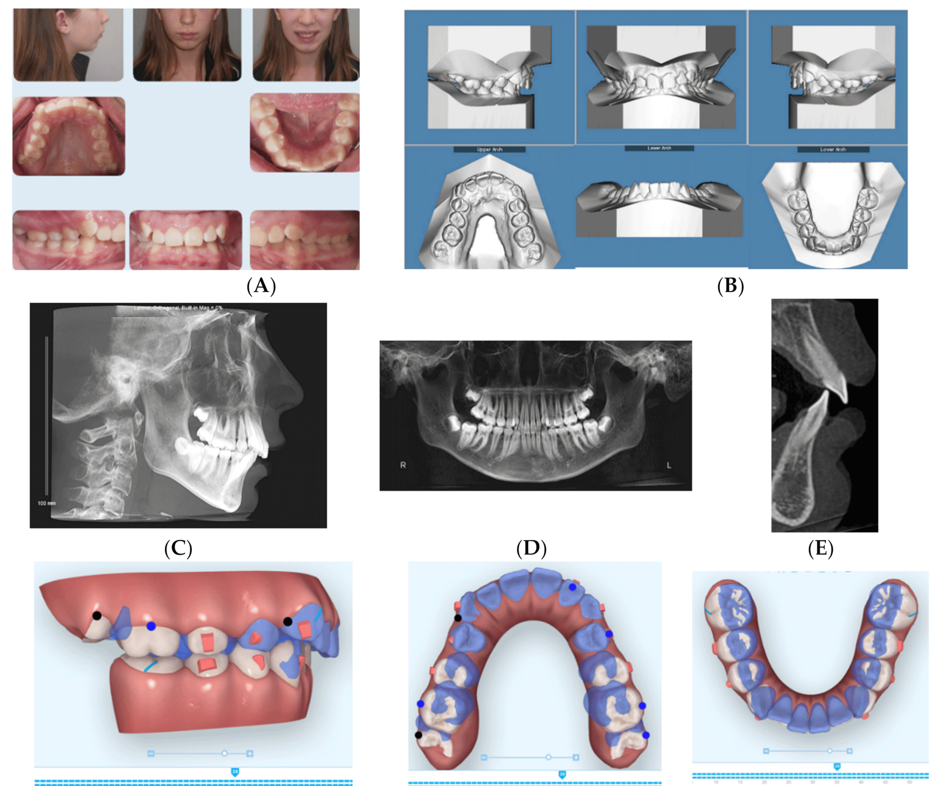dentistry-08-00110-g003a