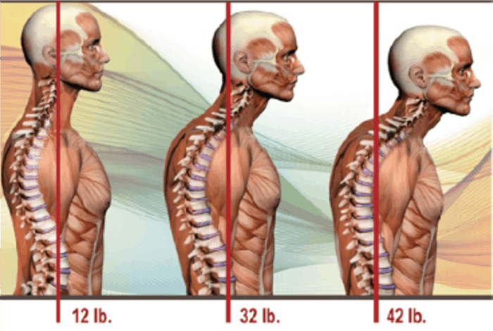 different postures on body anatomy