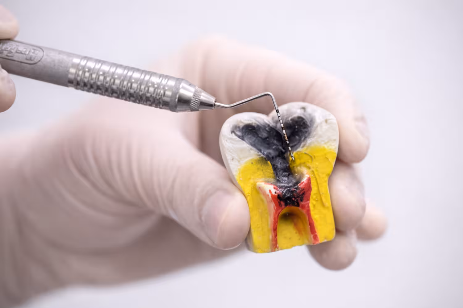 Holistic Dentist OC 5 Holistic Dentist OC