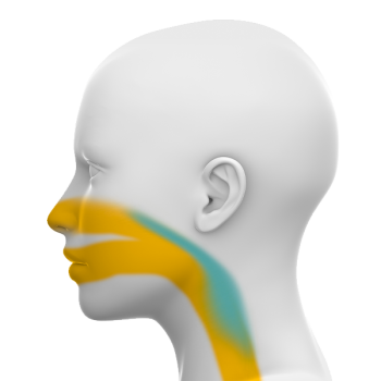 sleepapnea-obstructive sleepapnea-obstructive